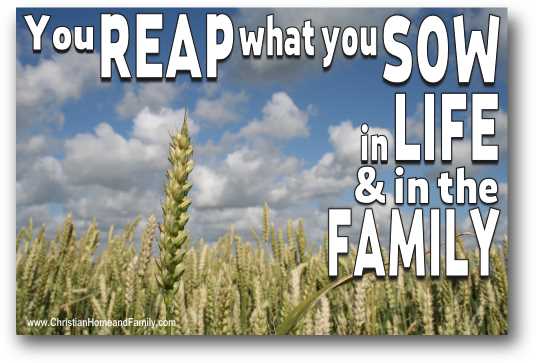 1090863545-reap-what-you-sow